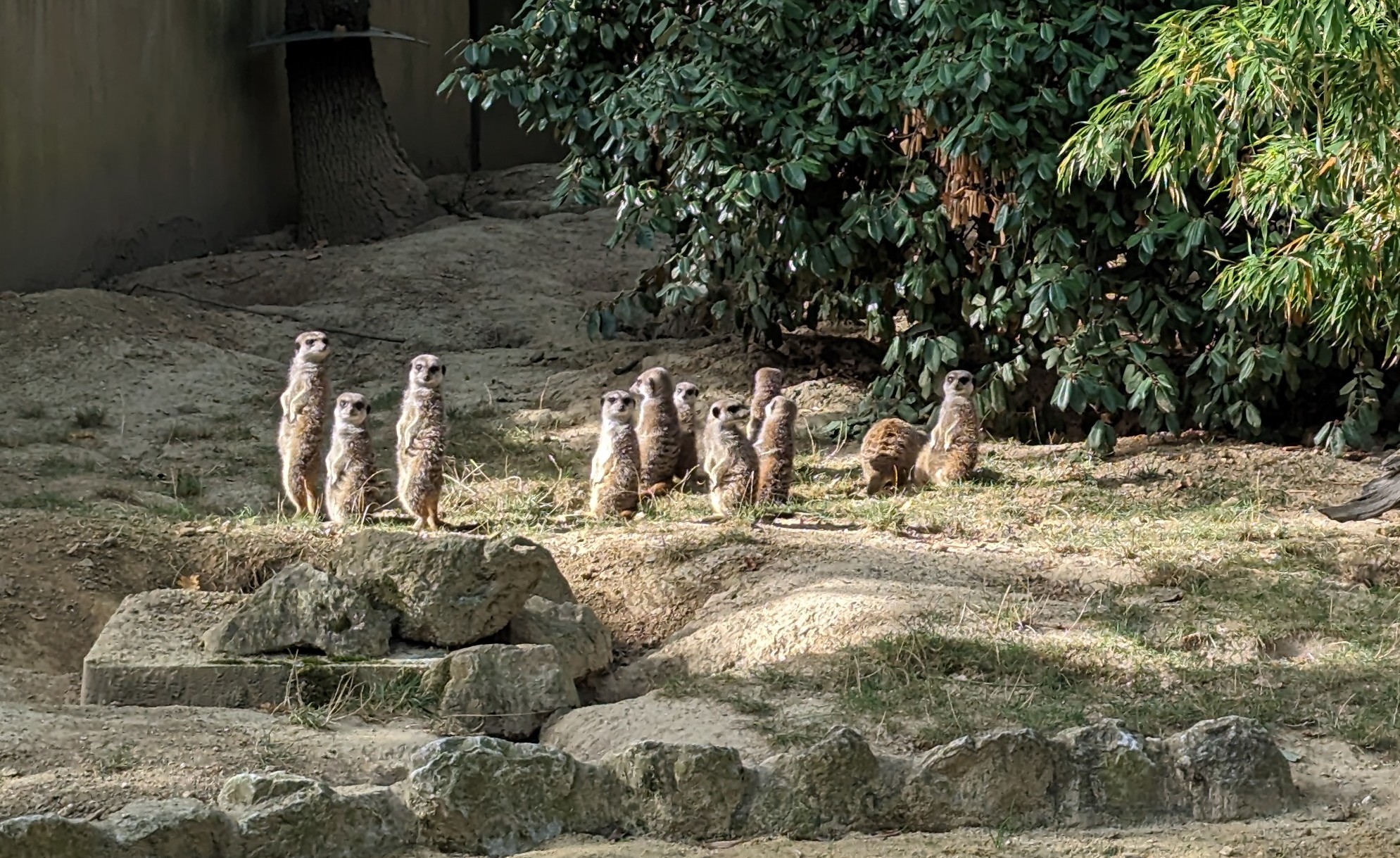 zoo avec assistante maternelle