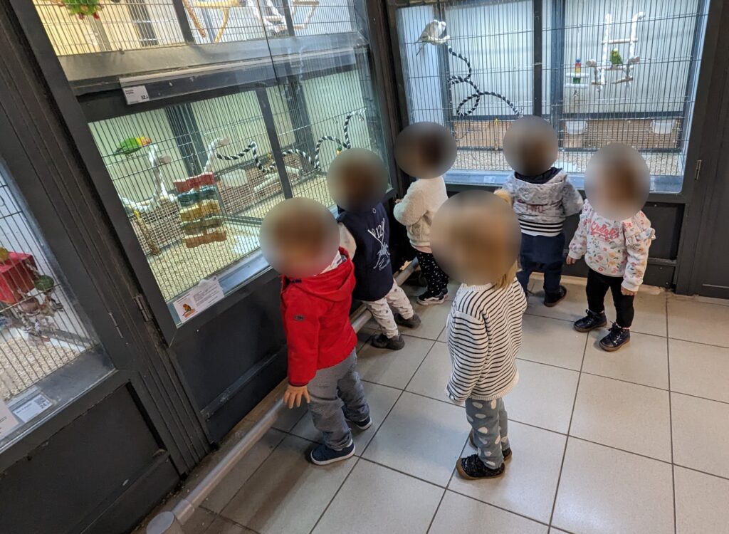 assistante maternelle en sortie