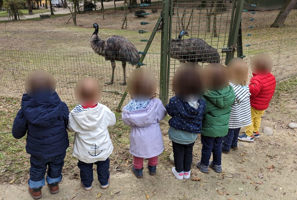 assistante maternelle au zoo