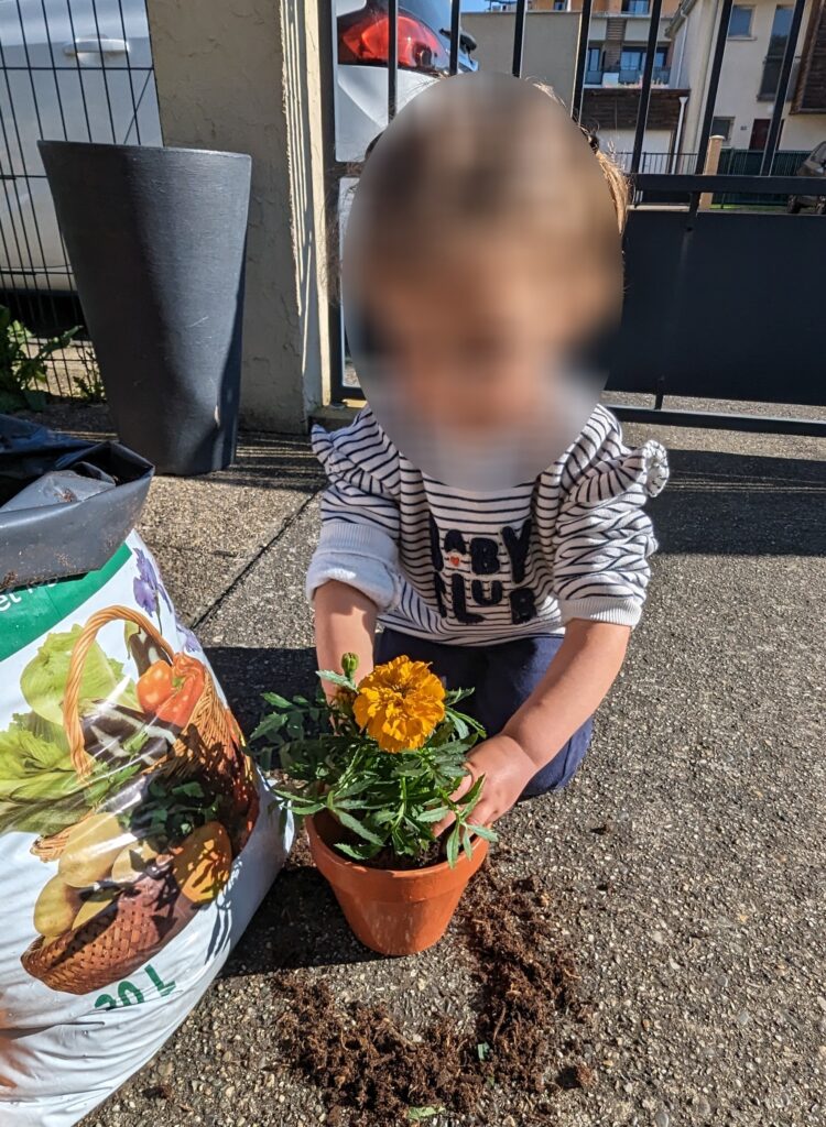 assistante maternelle colomiers plantation fleur