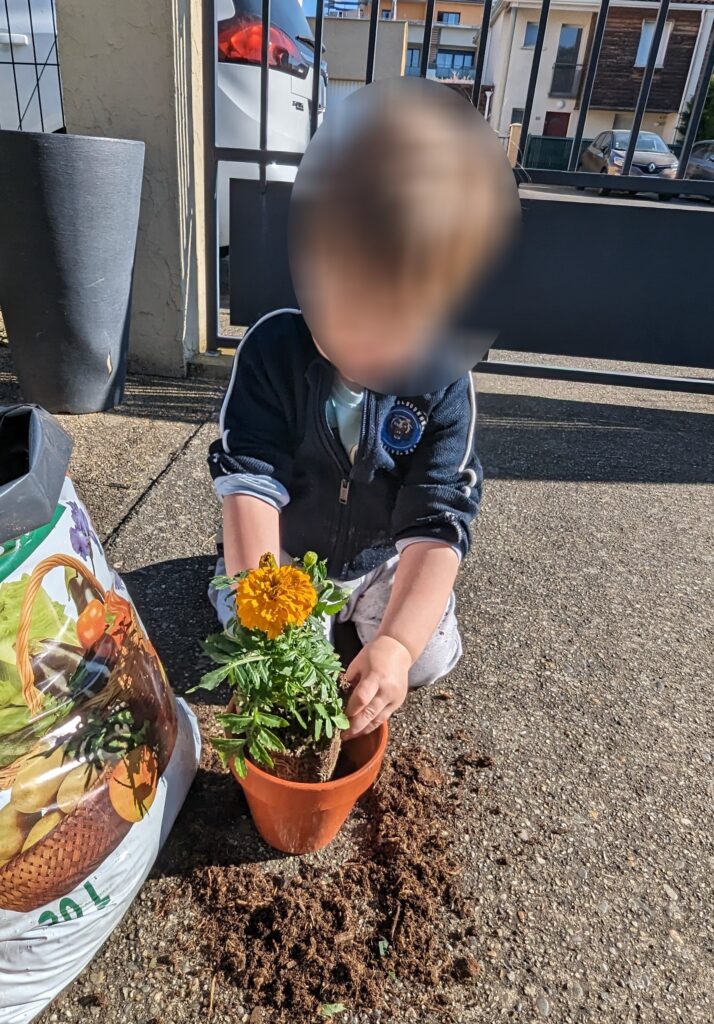 assistante maternelle colomiers plantation fleur