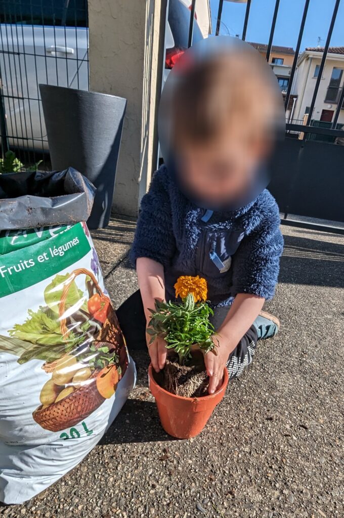 assistante maternelle colomiers plantation fleur