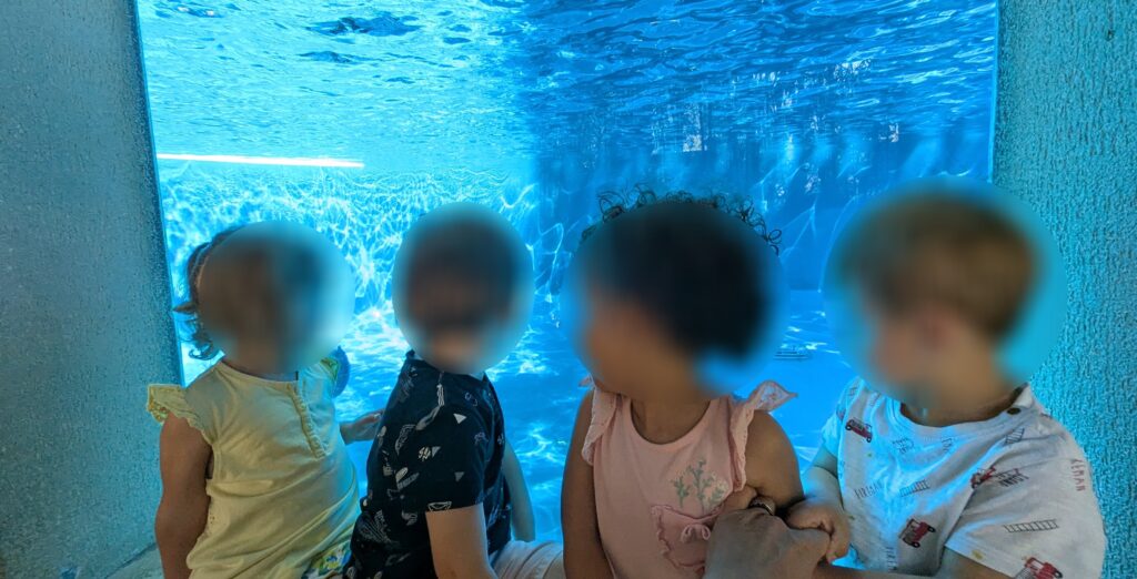 assistante maternelle colomiers les otaries