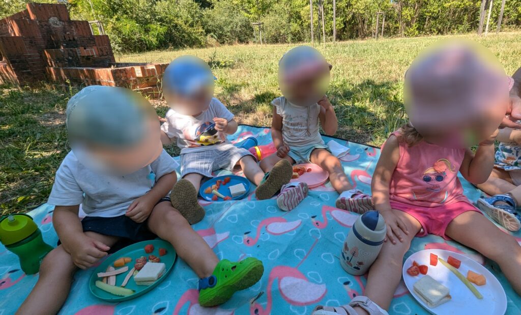 assistante maternelle colomiers pique nique