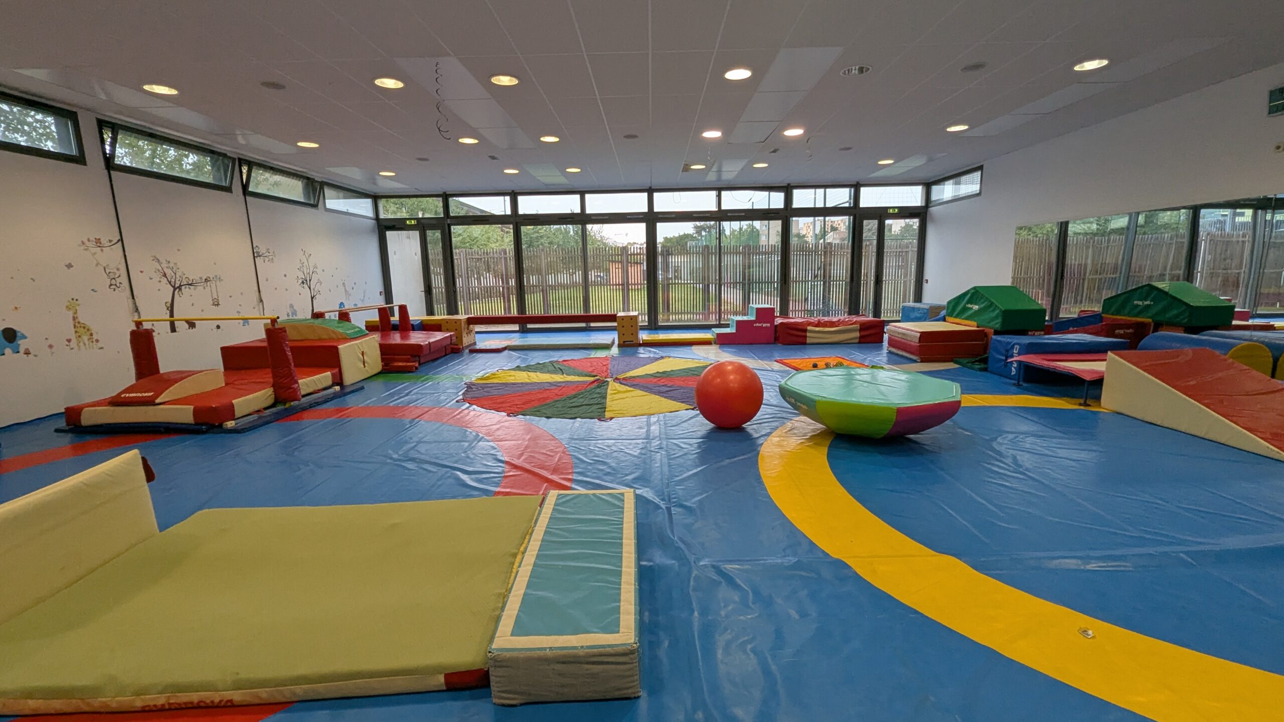 Baby gym