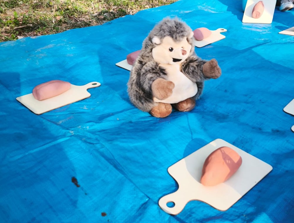 Eveil et Douceur : première matinée d’éveil à la nature