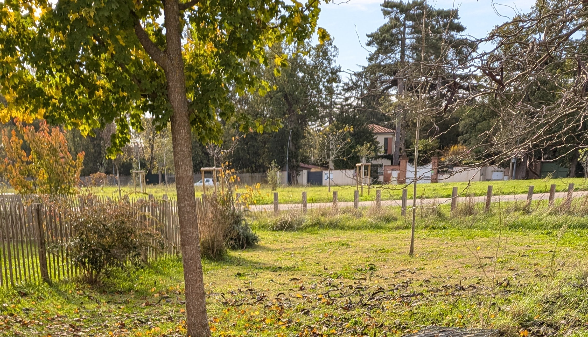 Promenade d’automne et petites découvertes