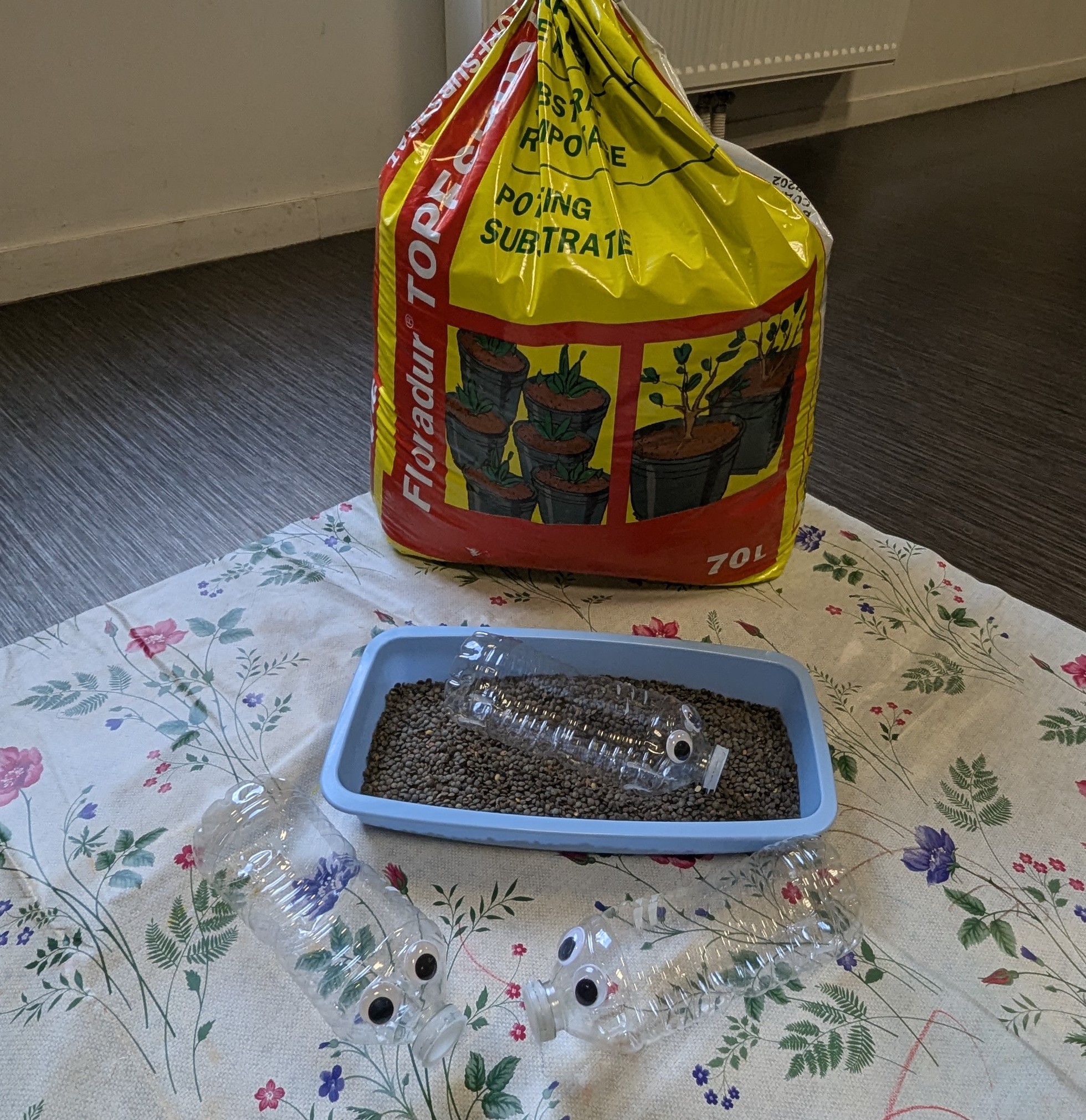 Eveil et Douceur : à la découverte des graines