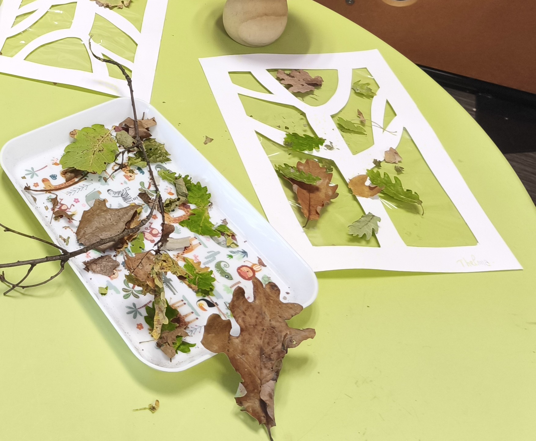 Matinée d’automne lumineuse avec Eveil et Douceur