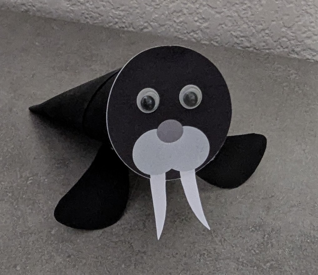 Plongée dans l’univers de la banquise