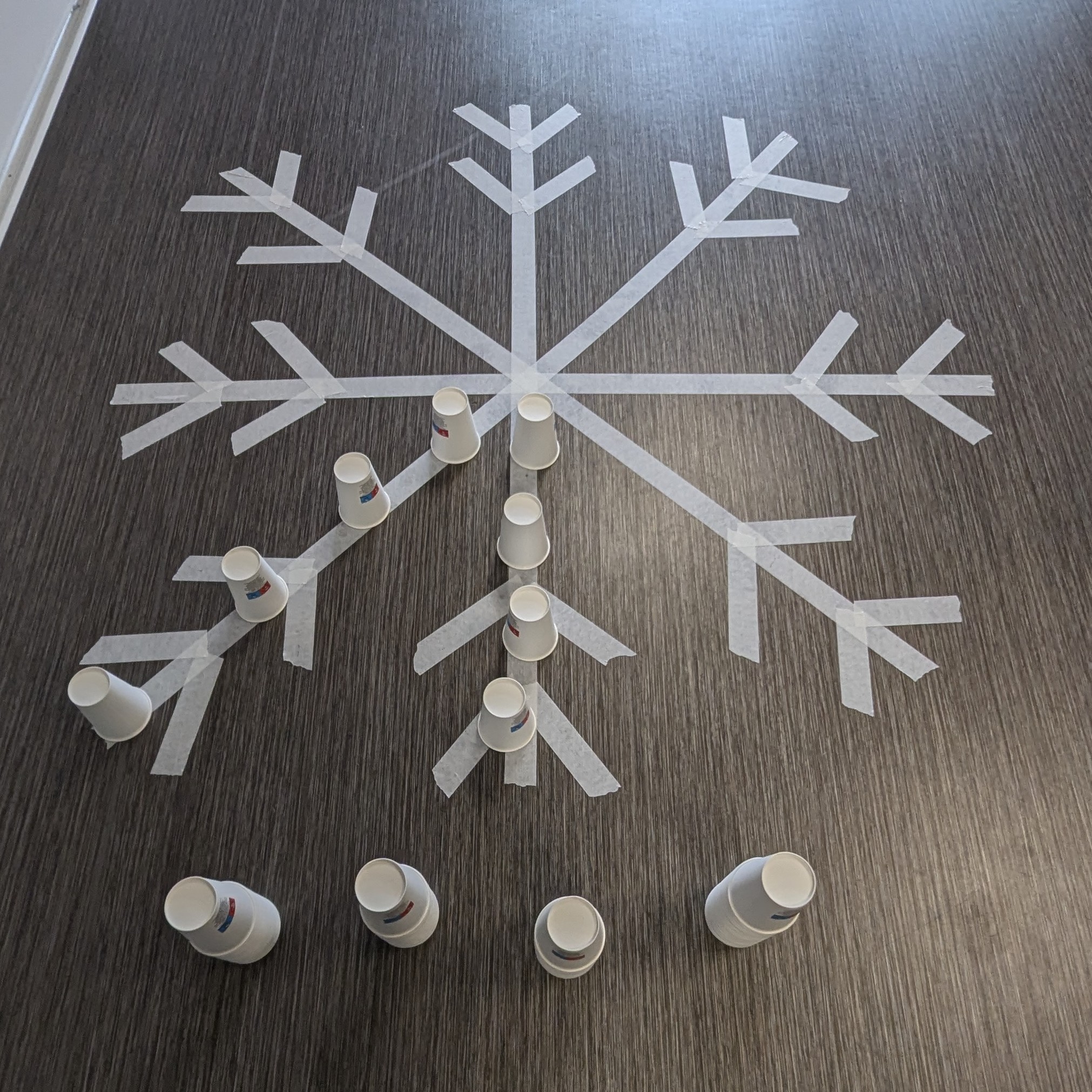 Flocons, pingouins et découvertes sur la banquise